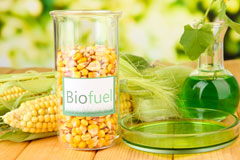 South Bank biofuel availability